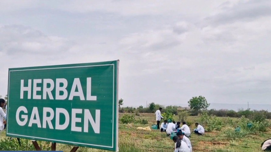 Medicinal plants garden for pharmacognosy learning